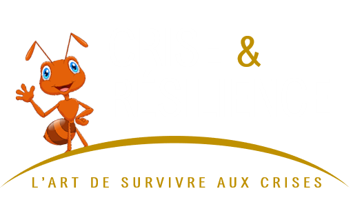 crise-resilience